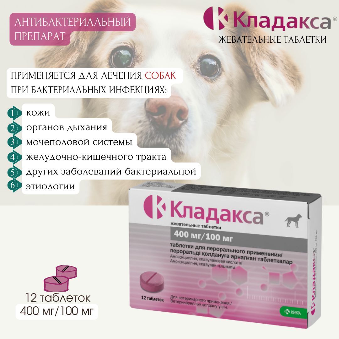 Кладакса это