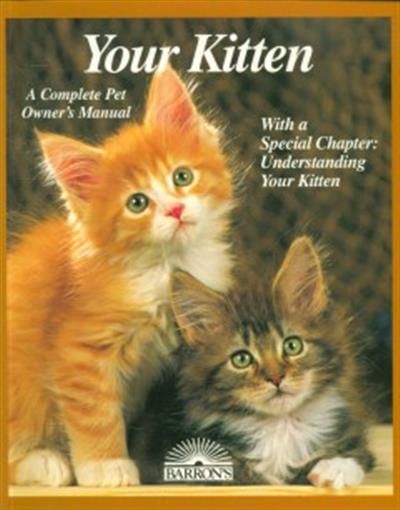 Your kitty. Your kitty. мур мяу шоу кошек. Lovely cat dream party игра. как измерить рост кошки.