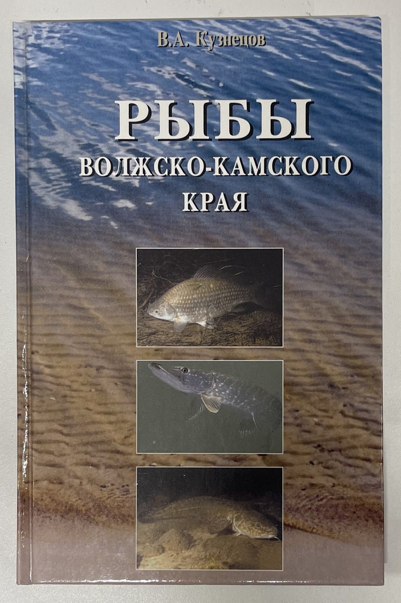 Книга рыбы. Рыбы Волжско-Камского края - Кузнецов в. а.. Ихтиофауна в Волжско-Камский. Рыбы Камского бассейна. Ихтиолог книга.