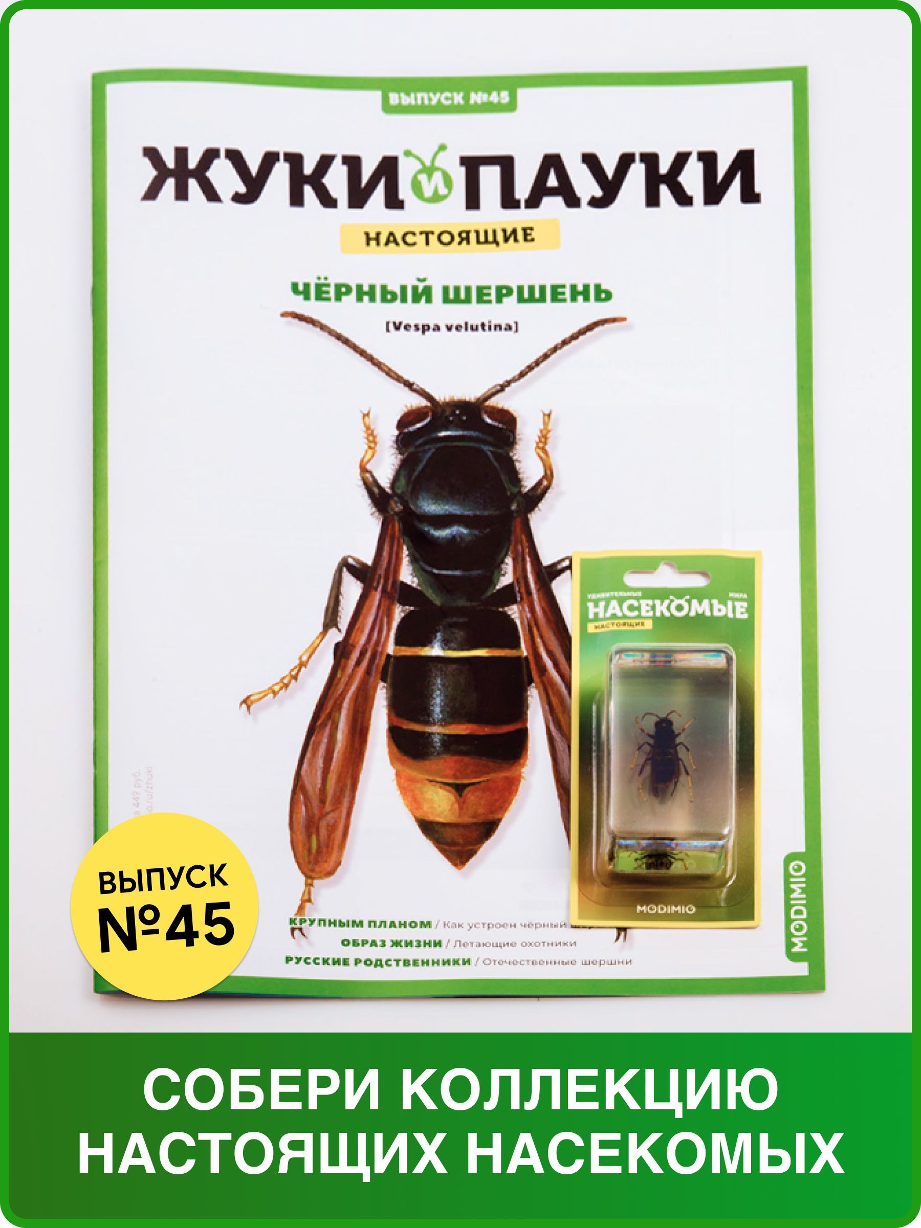 Жуки и пауки, Выпуск №45, Чёрный шершень - купить с доставкой по выгодным  ценам в интернет-магазине OZON (662505829)