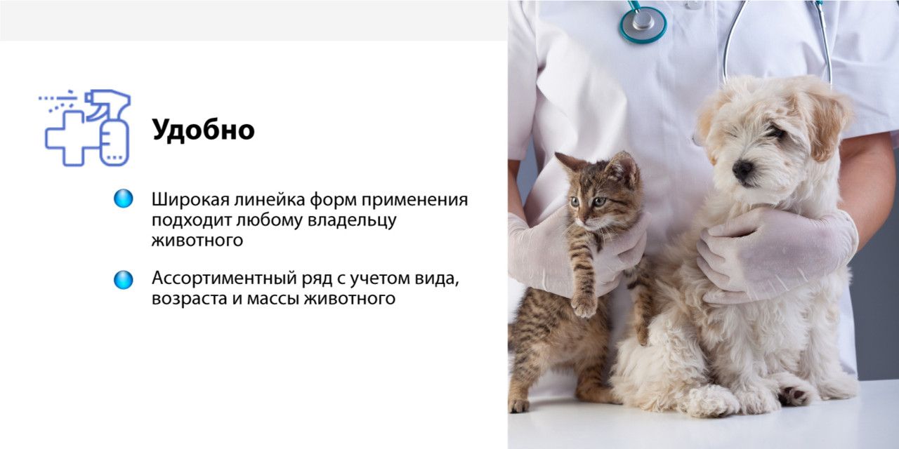 Капли от блох клещей гельминтов Inspector Quadro для кошек от 4 до 8 к(图4)