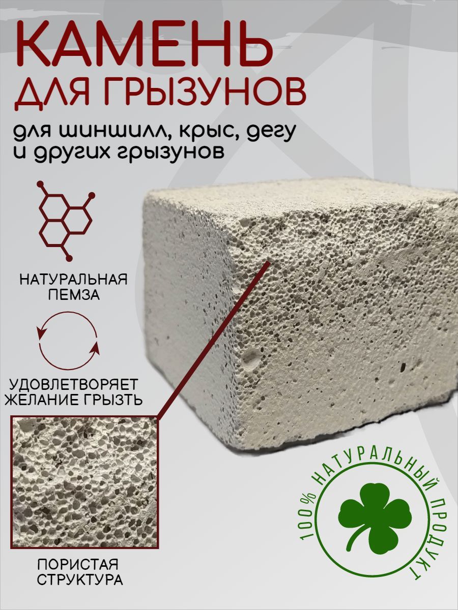 Минеральные камни для шиншилл (как сделать правильный выбор)
