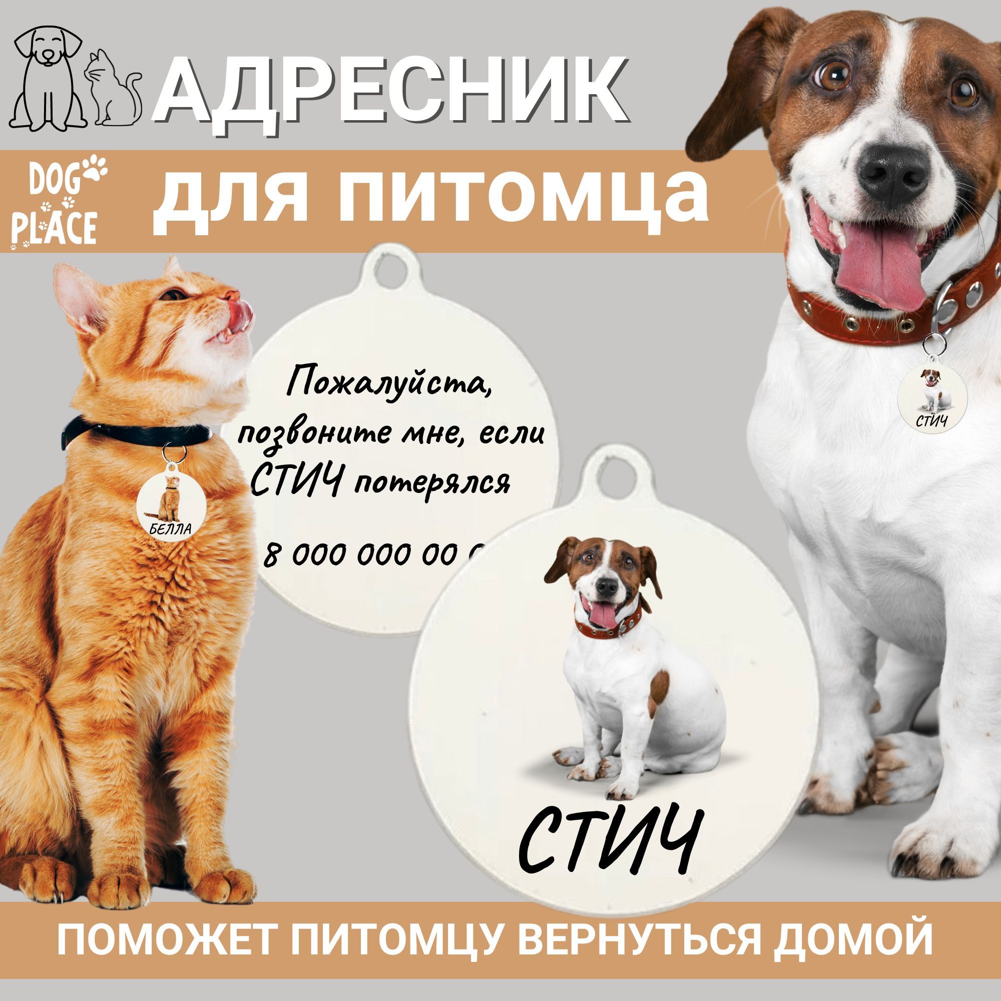 Нужен ли кошке ошейник?