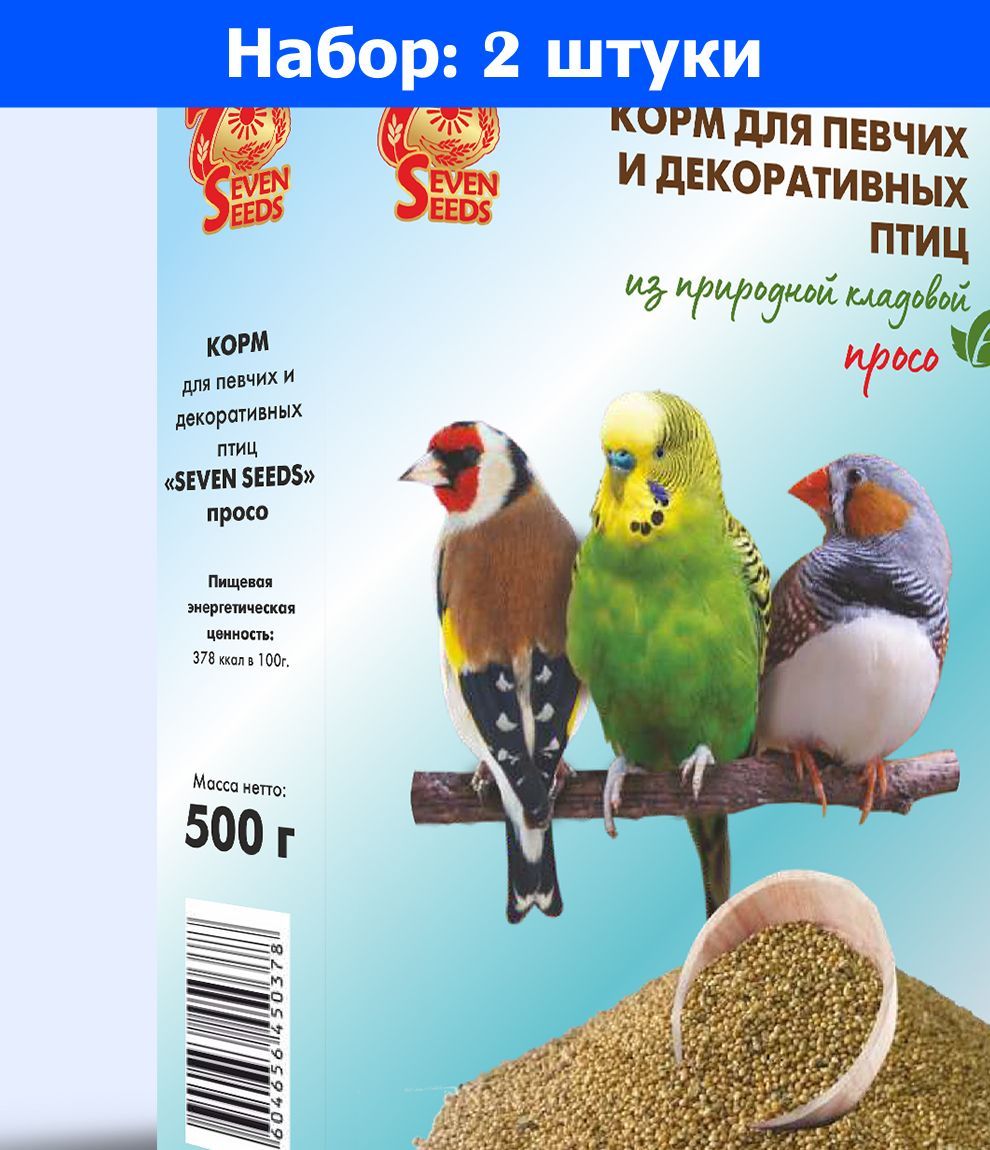 Корм просо для птиц. Просо для птиц. пшено для птиц. просо для птиц чика. загадки про амадину.