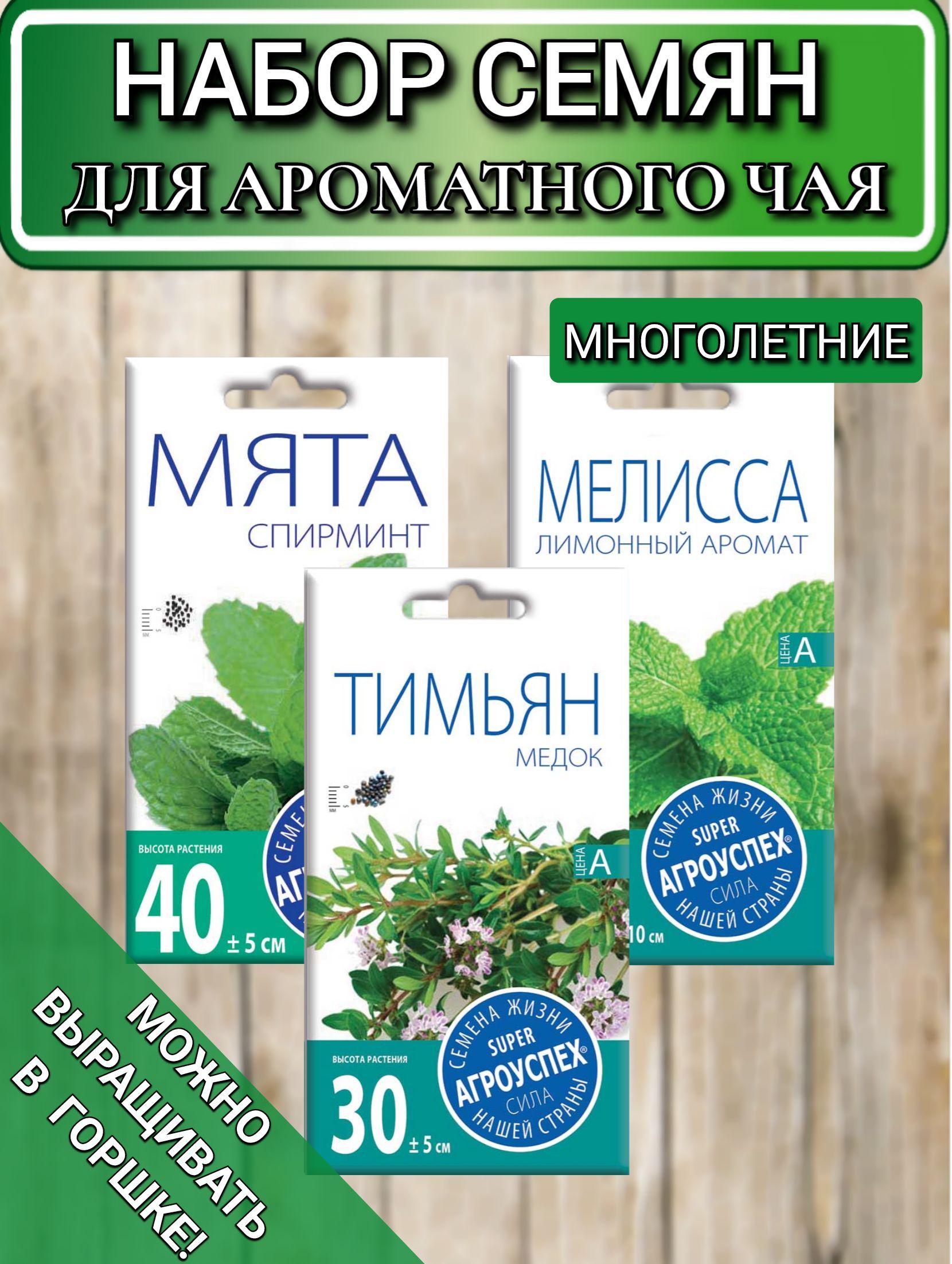 Семена Мяты Купить