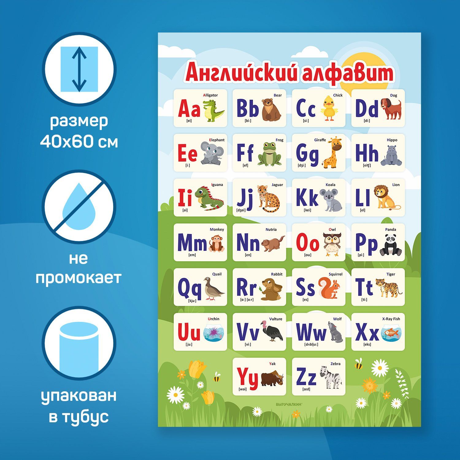 Плакат "Английский алфавит", 40х60 см