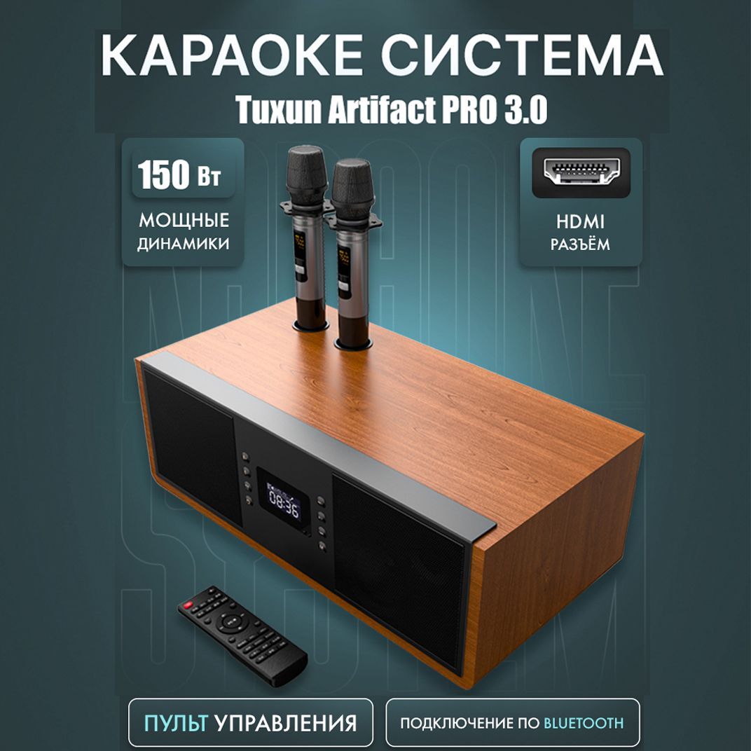 Караоке система для дома Tuxun Artifact Pro 3.0 с двумя микрофонами