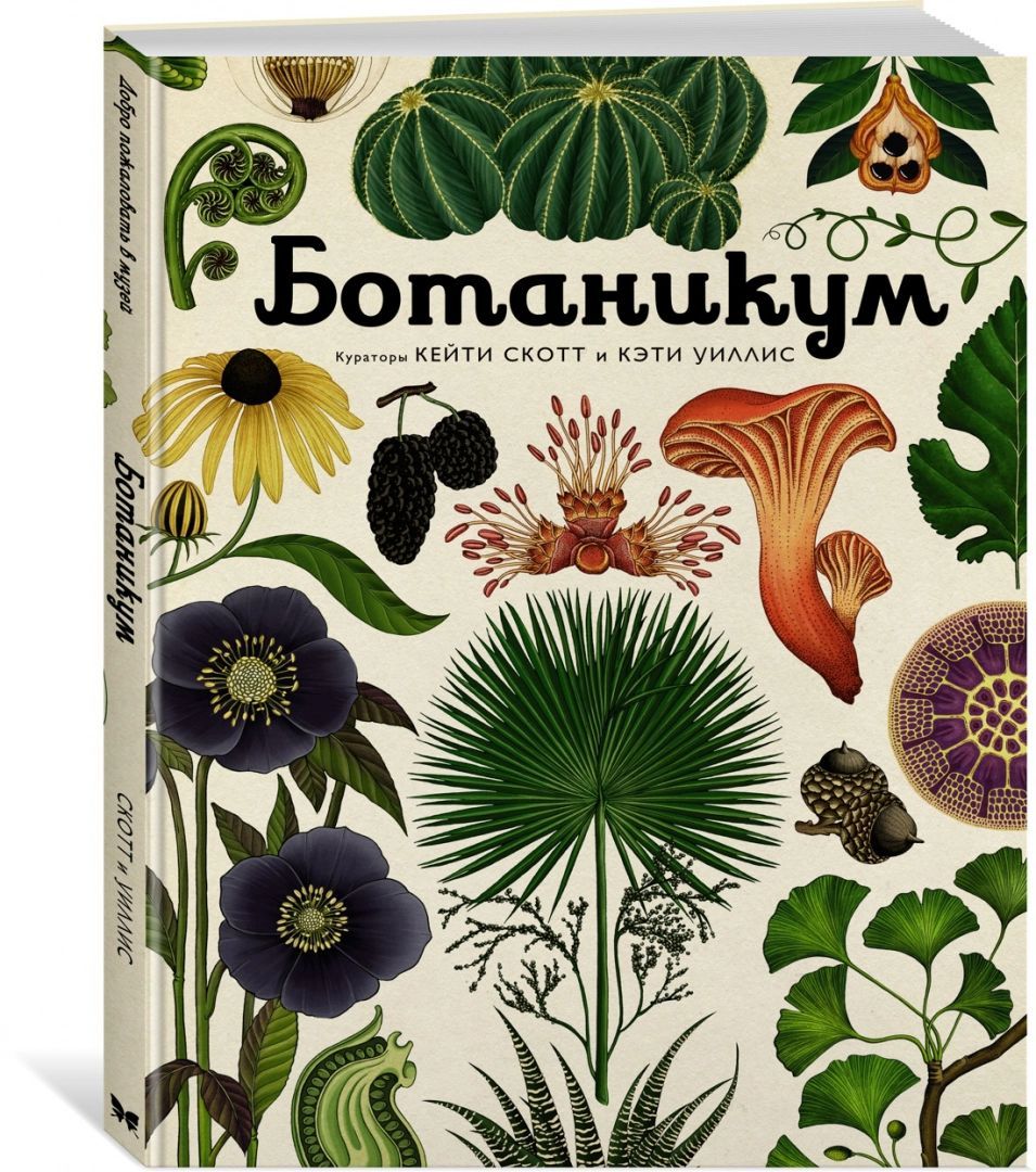Ботаникум кейти скотт. Ботаникум. Уиллис к. Ботаникум. Ботаникум.