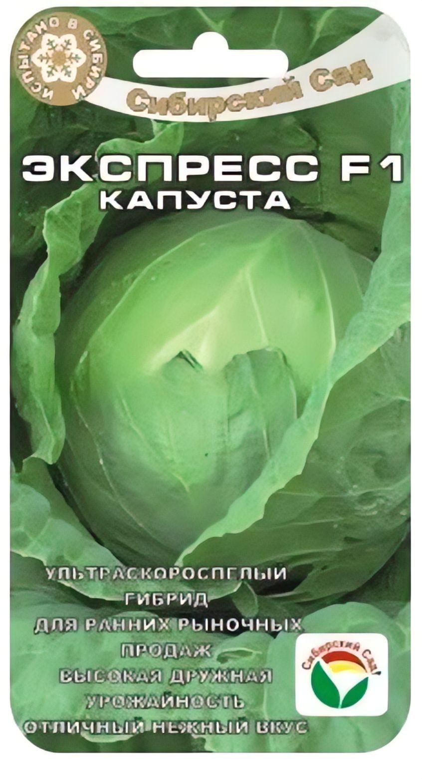 Капуста экспресс фото
