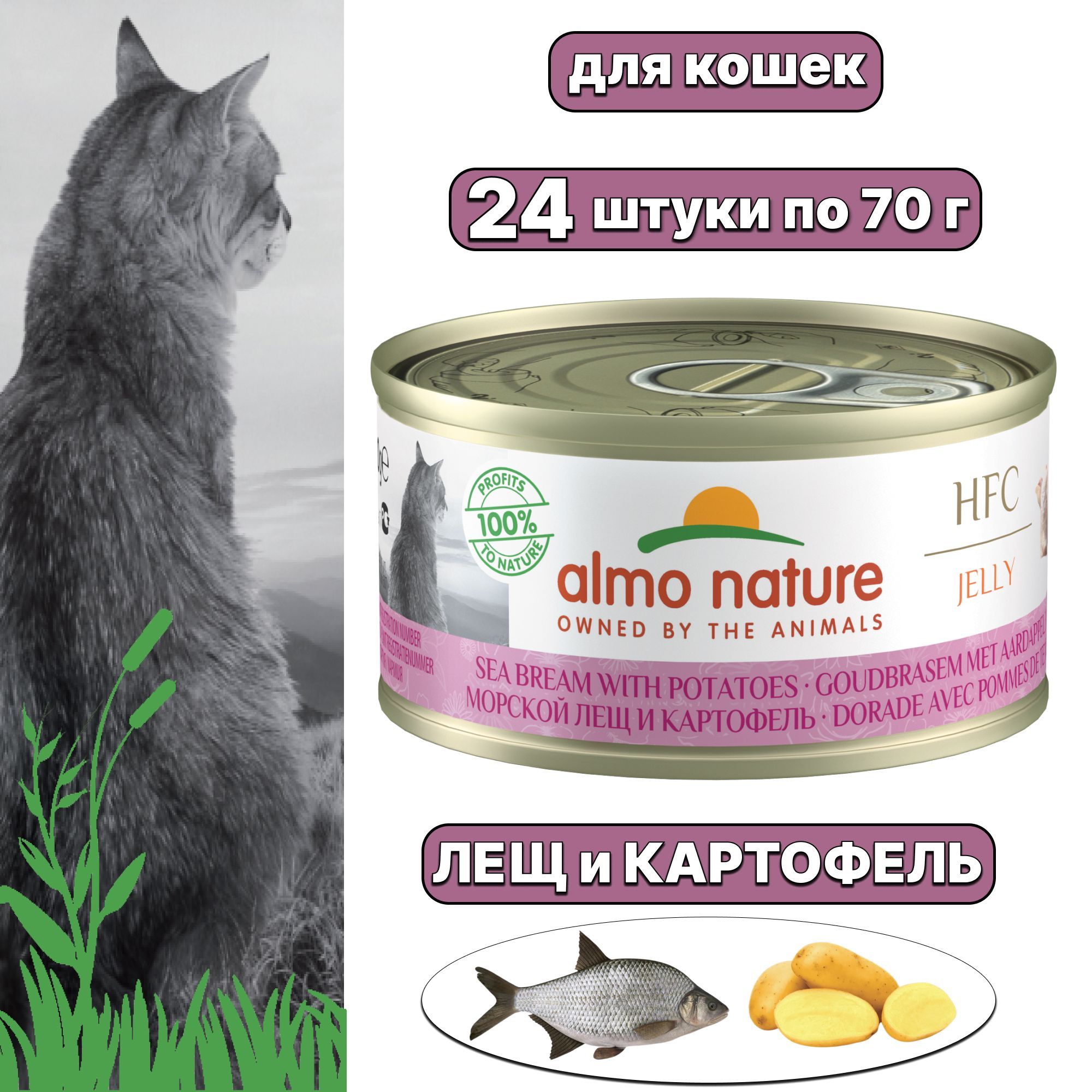 Влажный корм, консервы Almo Nature для кошек низкокалорийные, Морской Лещ и  Картофель в желе, 70 г х 24 шт (1,68 кг) - купить с доставкой по выгодным  ценам в интернет-магазине OZON (949731421)