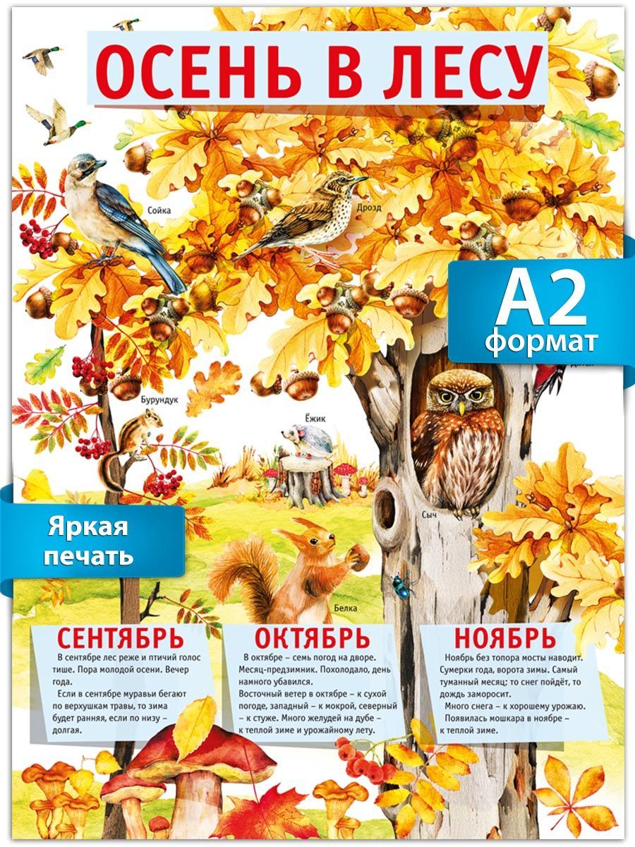 Плакат осень