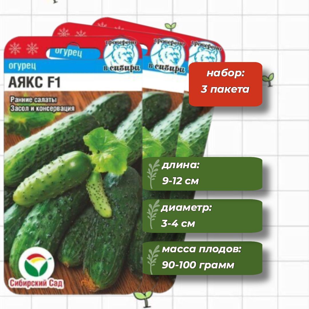 Огурцы Аякс F1 Отзывы Фото