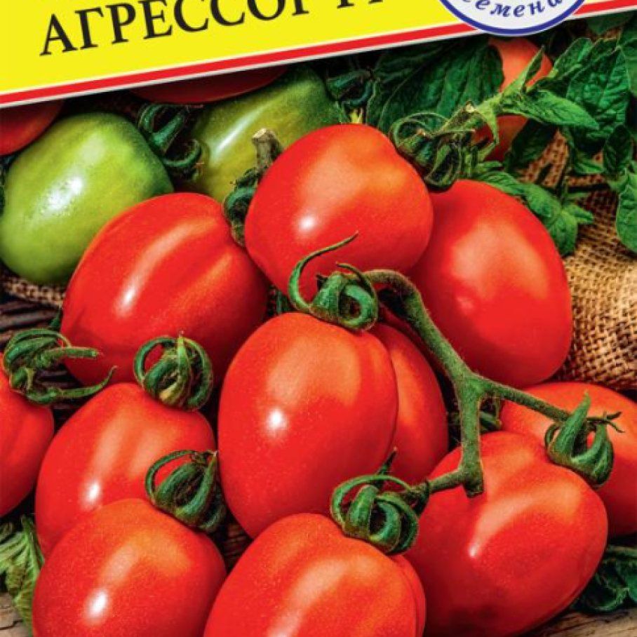 Гавриш помидоры турмалин. Томат агрессор. Сорт помидоров агрессор. Помидор агрессор f1. Семена гавриш 1+1=3 томат f1 верлиока плюс 24 шт.