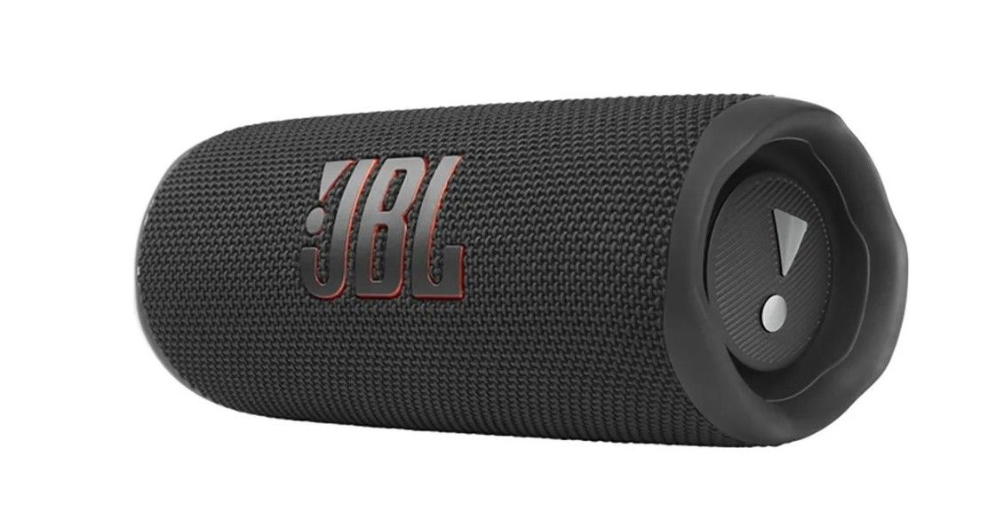 Флип 6. JBL Flip 6 размер.