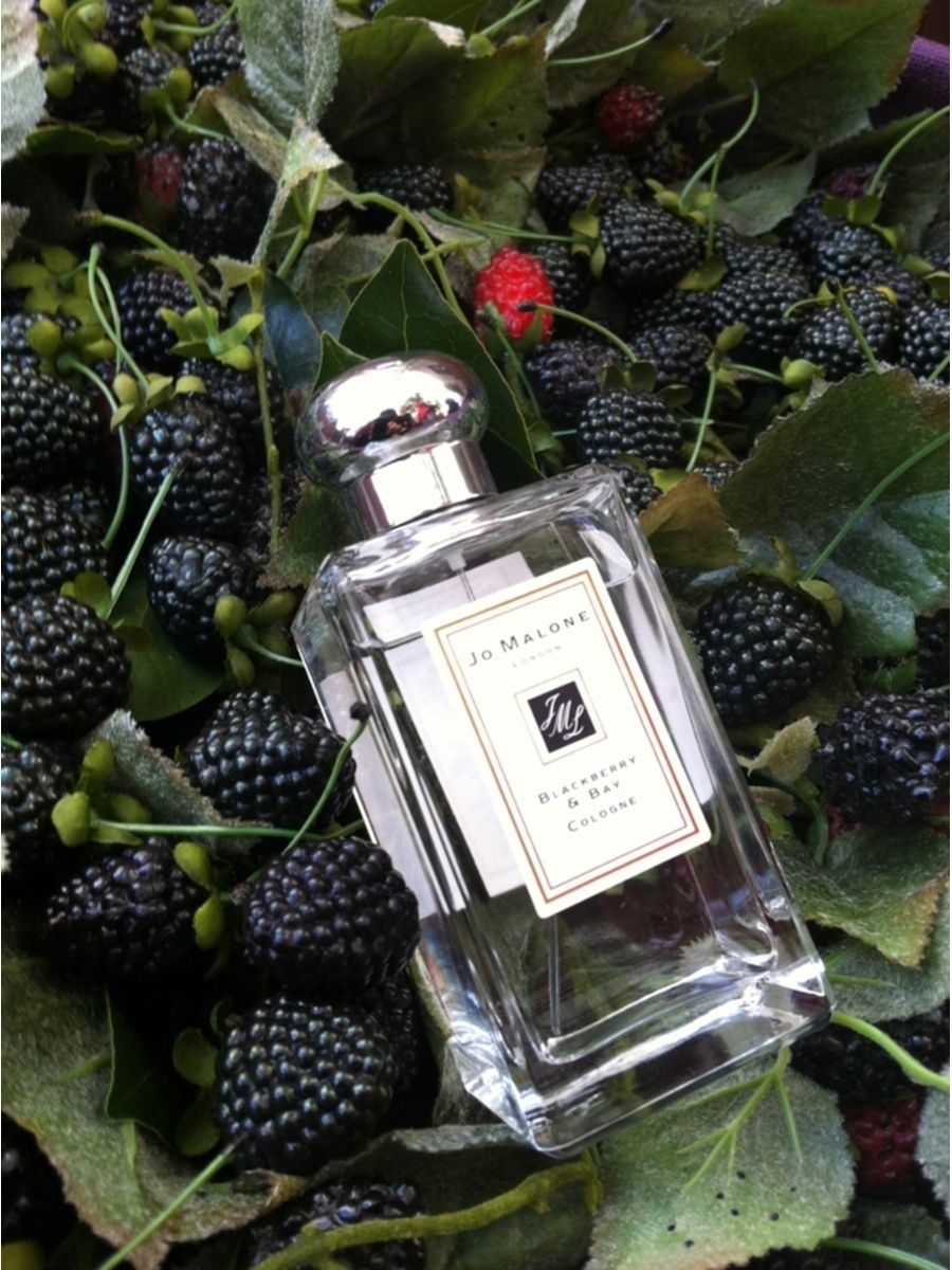 Jo malone blackberry and bay