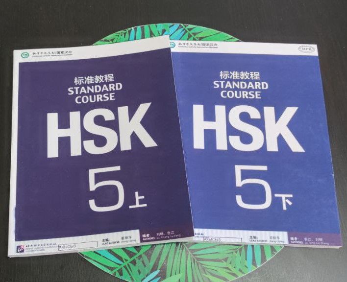 HSK Standard Course Class Book 5А + Class Book 5Б | Wang Feng