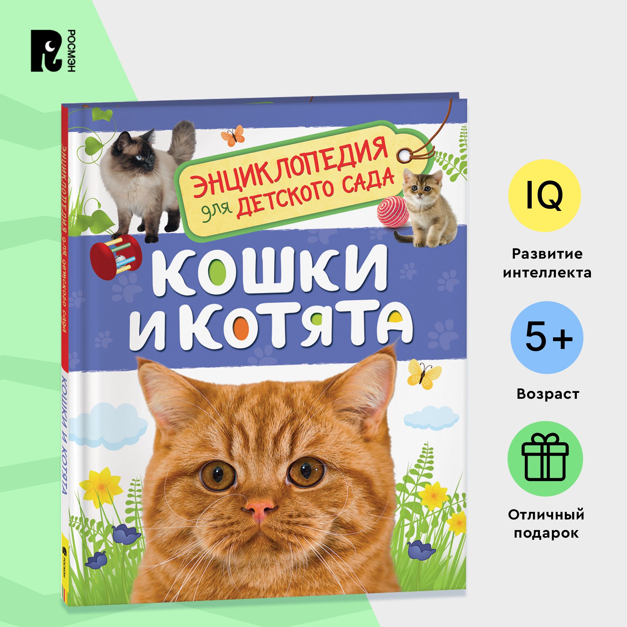 Кошки и котята. Энциклопедия для детского сада. Познавательные факты для  детей от 4-5 лет | Мигунова Е. - купить с доставкой по выгодным ценам в  интернет-магазине OZON (149639438)