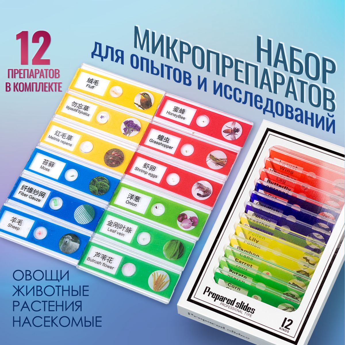 Набор микропрепаратов для микроскопа, препараты для опытов 12 штук (насекомые, животные, растения, овощи)