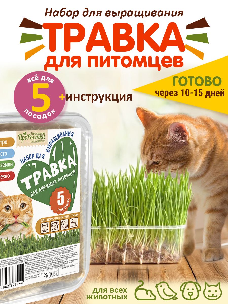 Набор "Трава для кошек...