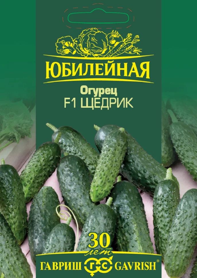 Огурцы ухажер отзывы фото