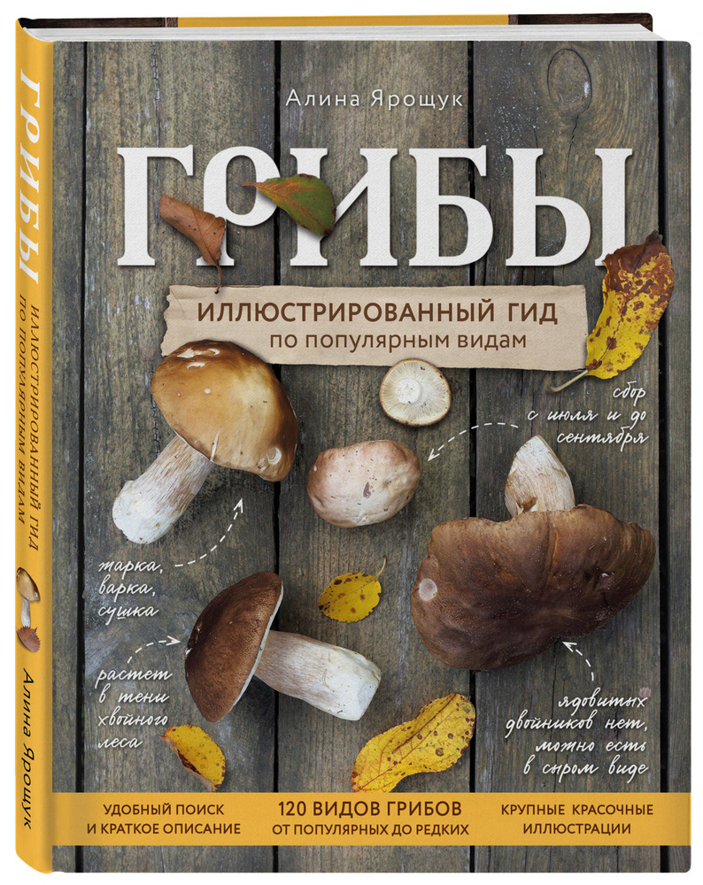 Книга "Грибы. Иллюстрированный гид по популярным видам" Ярощук Алина ...