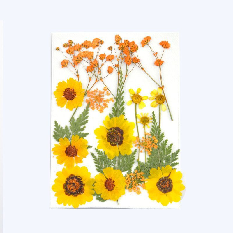 Набор натуральных сухоцветов для творчества, декора, 18 шт. 130*105 мм / сухоцветы для изготовления украшений #1