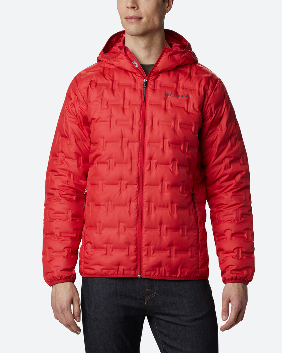 men's delta ridge down hooded jacket
