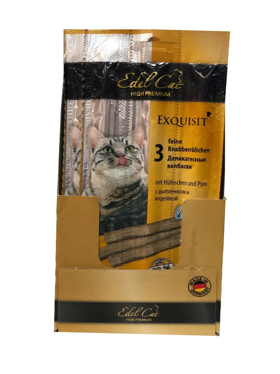 Новогодние Песни Котов Новогодние Песни Котов