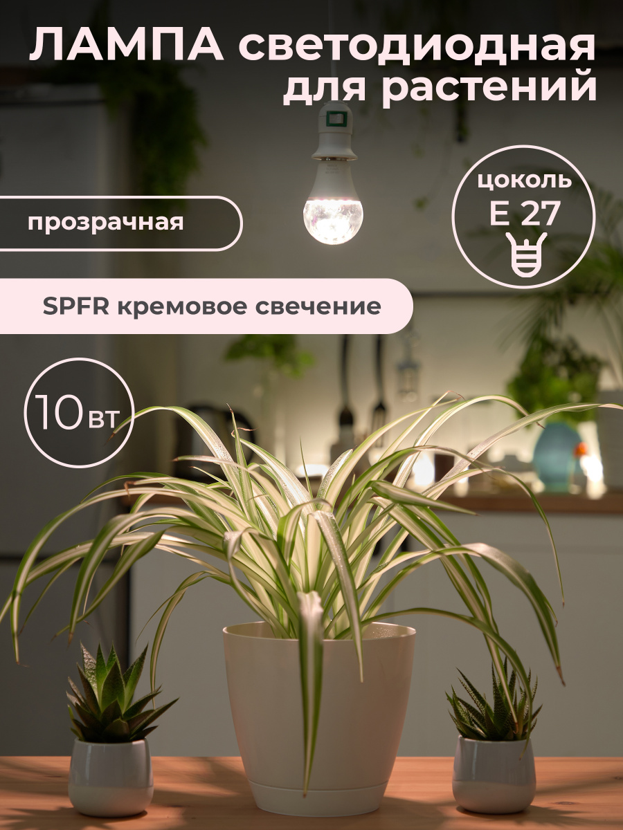 Магазин Ламп Для Растений Магазин Ламп Для Растений