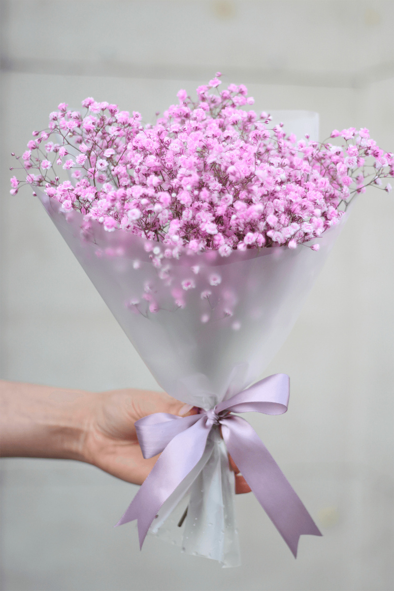 Гипсофила Lace&Grace Boutique, цвет розовый, прозрачный купить по