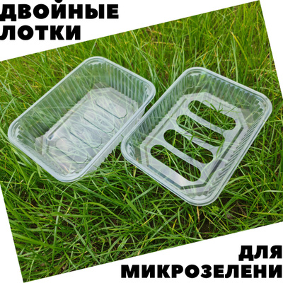 Набор для выращивания "Незабудка" — купить в интернет-магазине OZON с ...