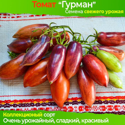 Томат Slivka Gurman Эксклюзивные семена томатов. Семена овощей