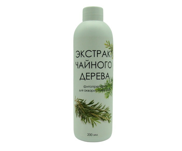 Экстракт чайного дерева - антибактериальный, противогрибковый и ...