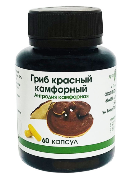 Антродия красный камфорный гриб в капсулах - купить с доставкой по ...