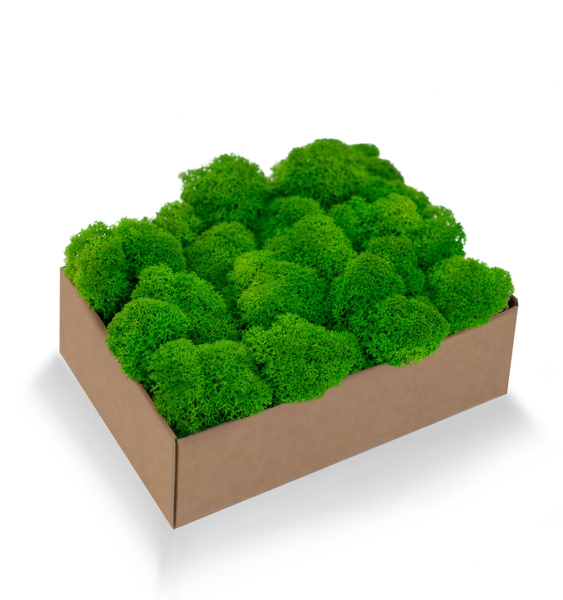 Стабилизированный мох Moss Green Мох, 100 гр купить по выгодной цене в ...