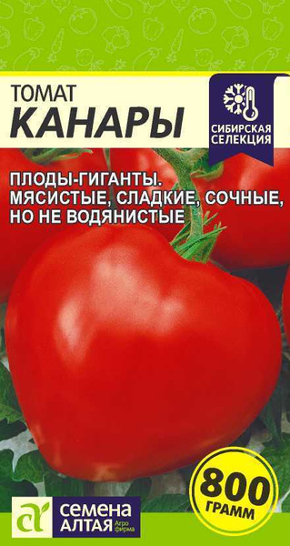 Томаты Семена Алтая Томат Вишня в Шоколаде - купить по выгодным ценам в ...