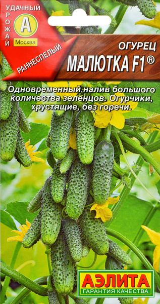 Огурцы Агрофирма Аэлита о1 - купить по выгодным ценам в интернет ...