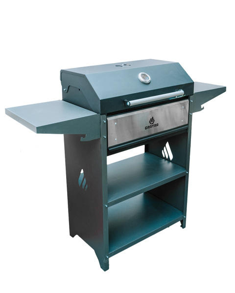 Гриль-мангал Family Optima BBQ FOB 2000 - купить с доставкой по ...