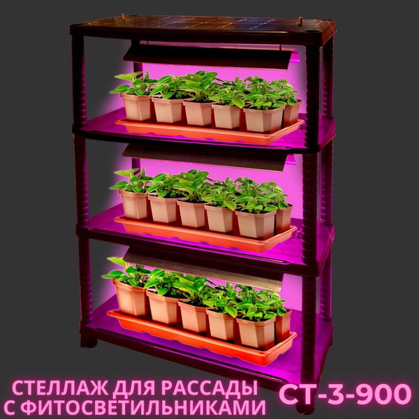 Стеллаж для рассады с фитосветильниками СТ-3-900 - купить с доставкой ...