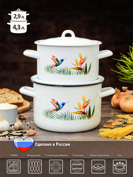 Набор кастрюль с крышкой "ЭСТЕТ" эмалированные 2.9 и 4.3 литра ...