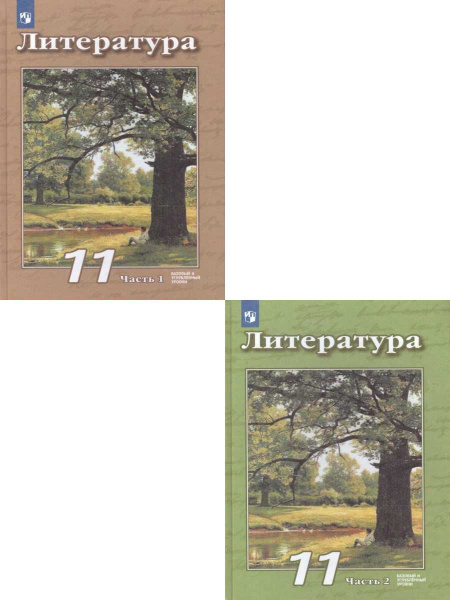 Литература 11 класс. Базовый и углублённый уровни. Учебник. Комплект в ...