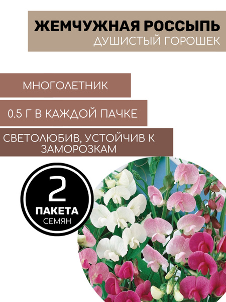 Душистые горошки многолетние Русский огород 91695422 - купить по ...