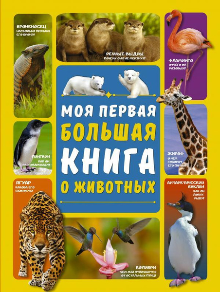 Моя первая большая книга о животных - купить с доставкой по выгодным ...