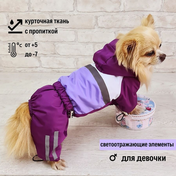 Комбинезон демисезонный для собак мелких пород (для девочки) "Dilai ...