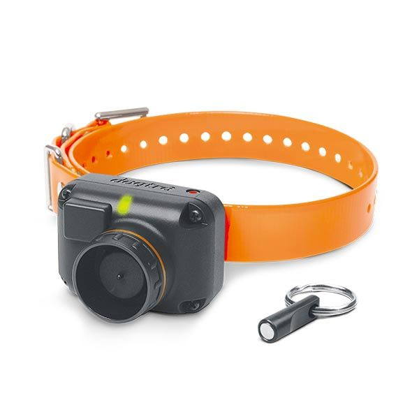 Бипер для собак Dogtra STB BEEPER COLLAR (HAWK) ошейник купить на OZON ...