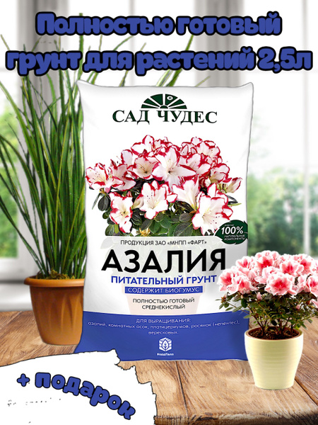 Грунт для комнатных цветов, для рассады, для Азалий. Сад Чудес, 2,5 л ...