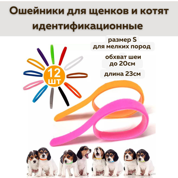 Идентификационные ошейники для котят и щенков, маркировка новорожденных ...