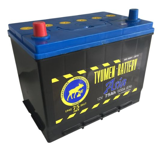 Аккумулятор автомобильный Tyumen Battery ASIA купить по выгодной цене в ...