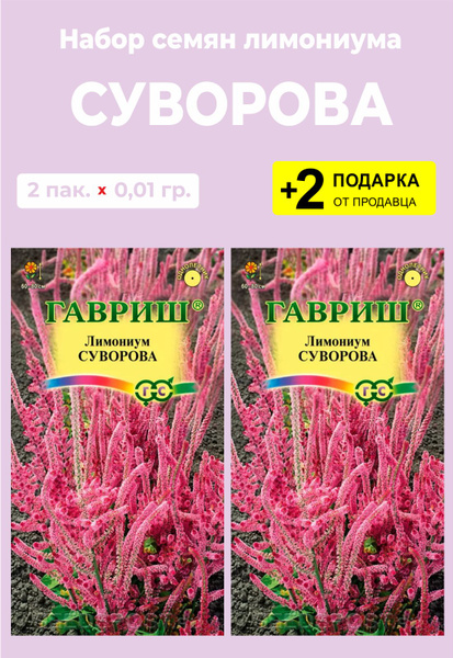 Лимониум (Кермек), Статица Проверенные семена Суворова_темно-зеленый ...