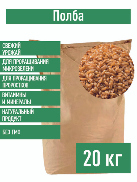 Полба Семена 20 кг. полбяные для проращивания - купить с доставкой по ...